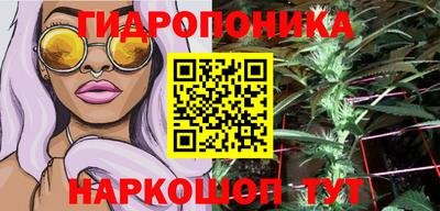 индика Балаково