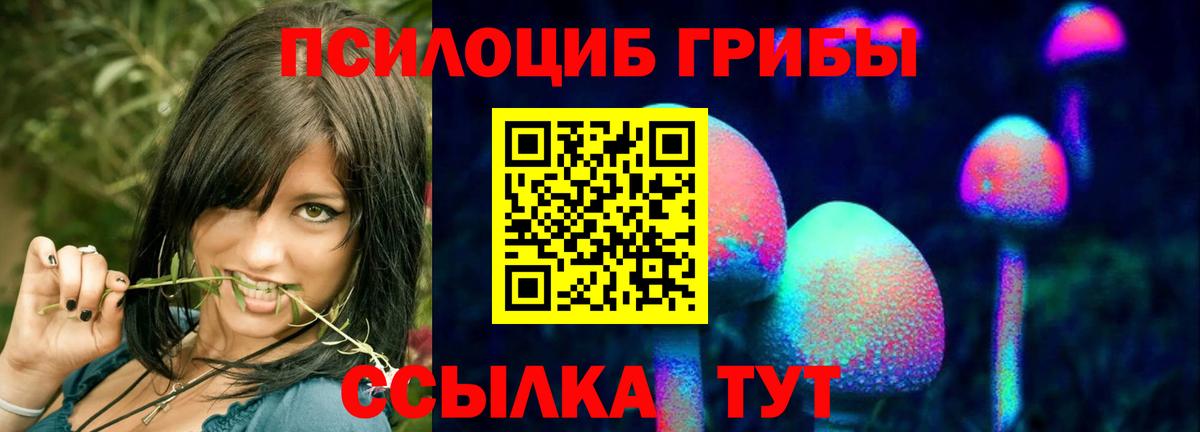 Галлюциногенные грибы Magic Shrooms  Вход с VPN  Псилоцибиновые грибы мицелий  Гусь-Хрустальный 